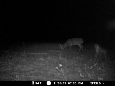 Click on image to download