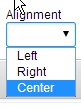 Alignment Option